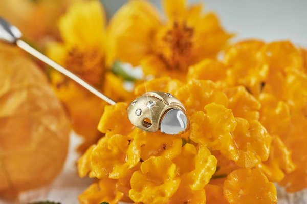 Top 10 most popular insect charms