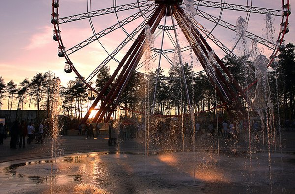 Experience the fun: why you need a mystery box machine